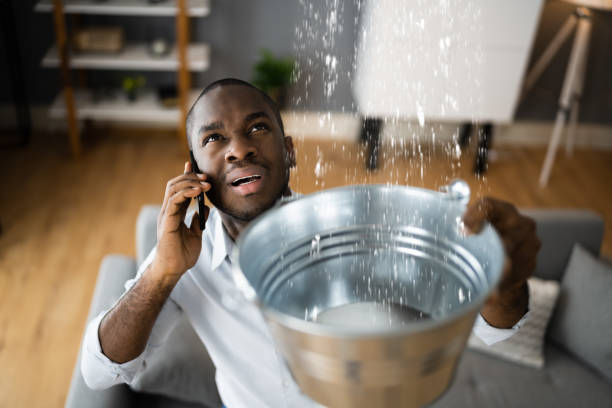 Best Water damage cleanup near me  in Silver City, NM