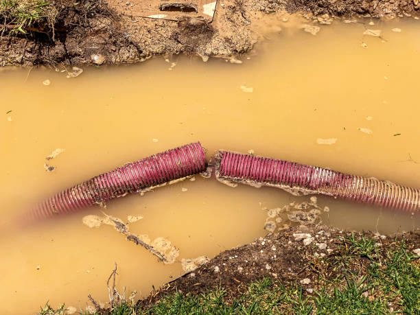 Best Water damage repair service  in Silver City, NM