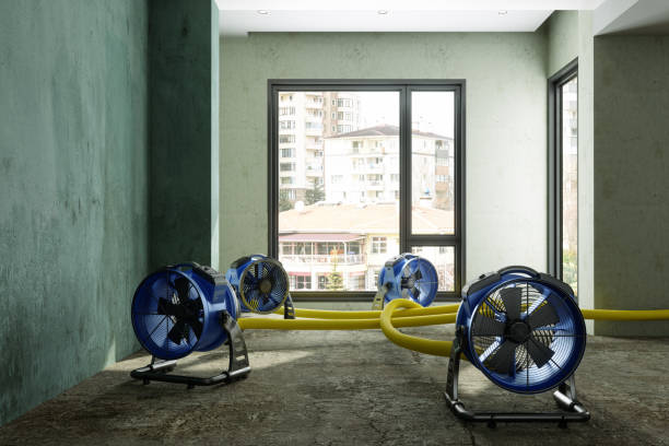 Best Carpet water damage restoration  in Silver City, NM