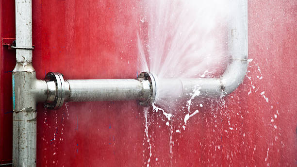 Best Commercial water damage restoration  in Silver City, NM